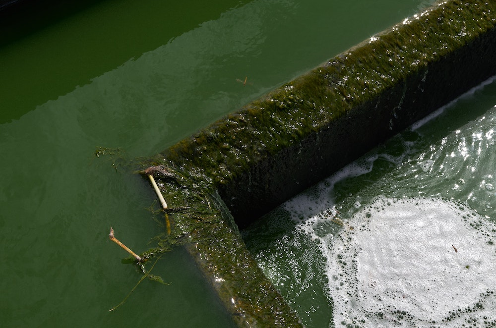 La loi Assainissement des eaux usées domestiques : Une nécessité pour préserver notre environnement