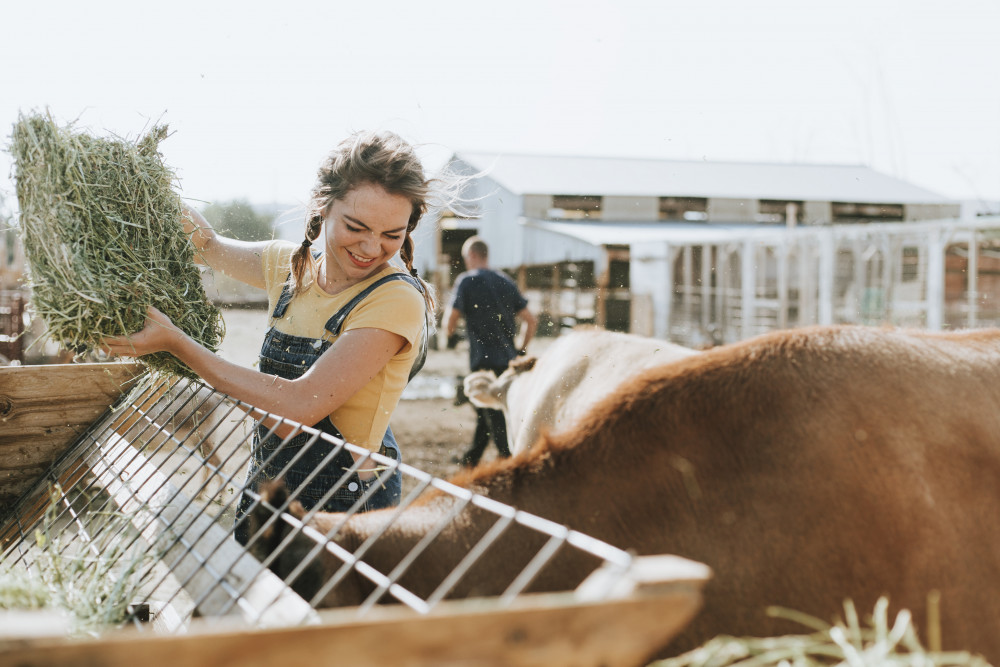 Le droit moral : un outil essentiel pour la protection des créateurs