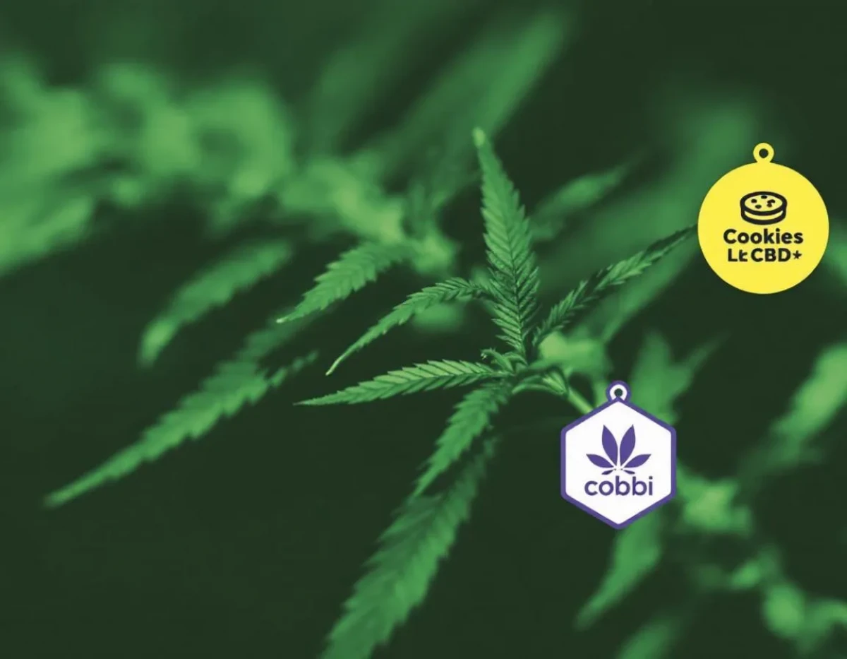 Cookies CBD : enjeux juridiques liés à la similarité visuelle avec d'autres marques